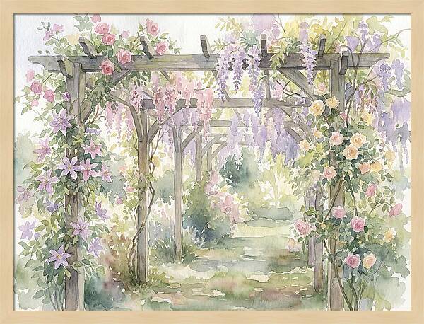 Garden Pathway Under Pergola