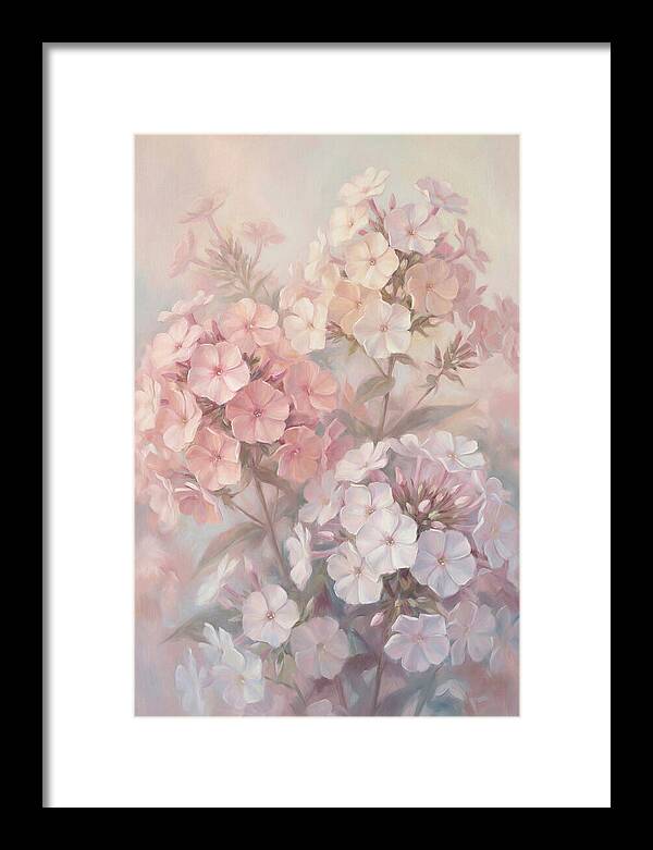 Garden Phlox Blossoms In Soft Hues