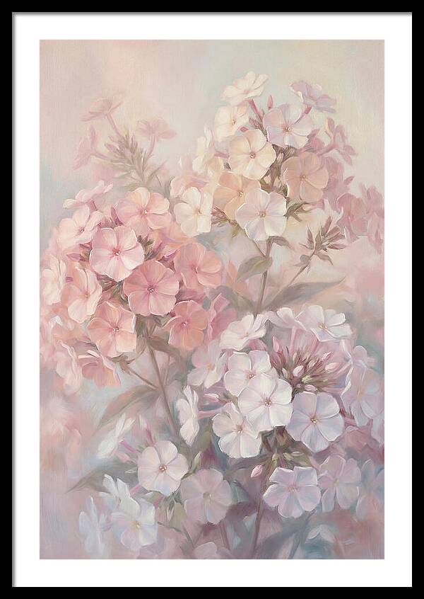 Garden Phlox Blossoms In Soft Hues