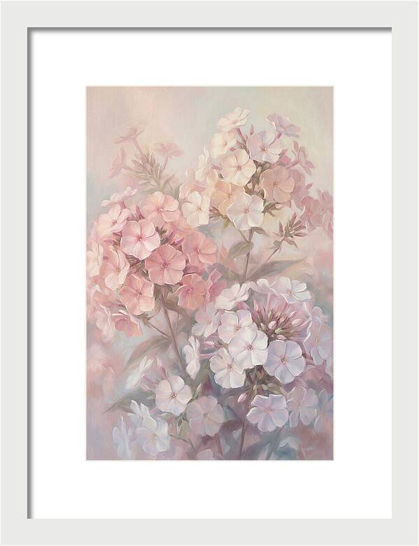Garden Phlox Blossoms In Soft Hues