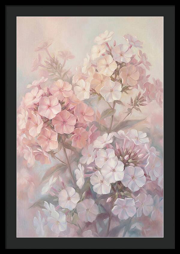 Garden Phlox Blossoms In Soft Hues
