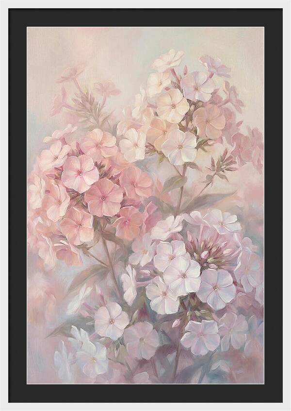Garden Phlox Blossoms In Soft Hues