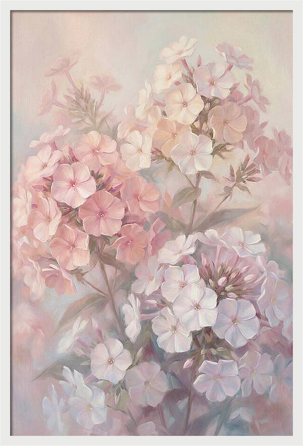 Garden Phlox Blossoms In Soft Hues