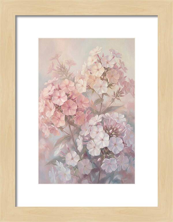 Garden Phlox Blossoms In Soft Hues