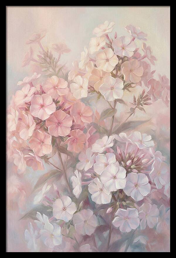 Garden Phlox Blossoms In Soft Hues