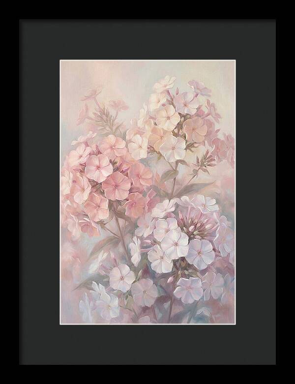 Garden Phlox Blossoms In Soft Hues