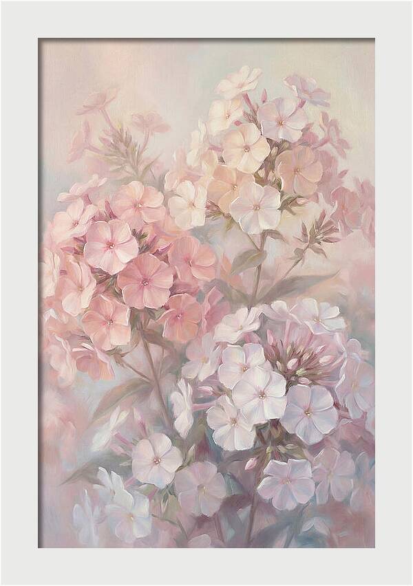 Garden Phlox Blossoms In Soft Hues