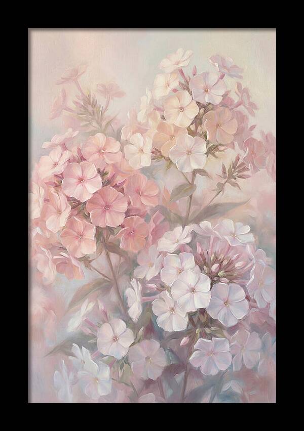 Garden Phlox Blossoms In Soft Hues