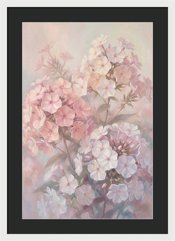 Garden Phlox Blossoms In Soft Hues