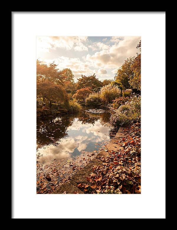 Garden Pond Reflecting Autumn Sky