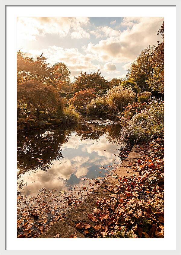 Garden Pond Reflecting Autumn Sky