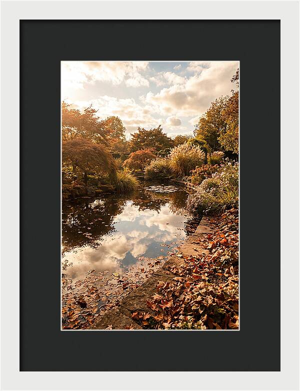 Garden Pond Reflecting Autumn Sky