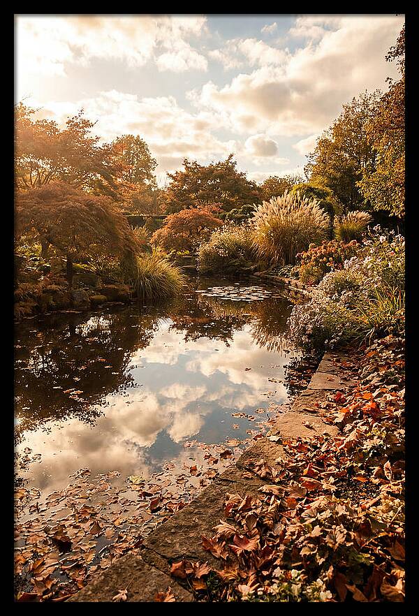 Garden Pond Reflecting Autumn Sky