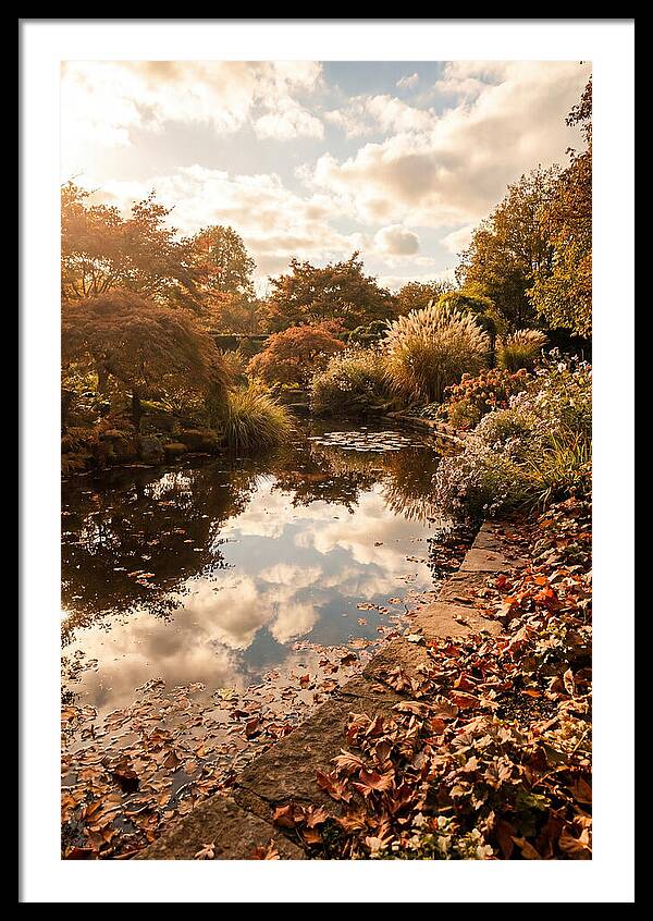 Garden Pond Reflecting Autumn Sky