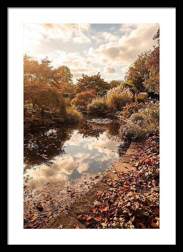 Garden Pond Reflecting Autumn Sky