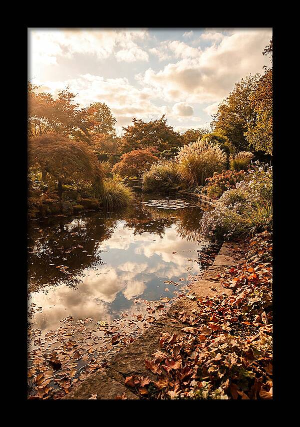 Garden Pond Reflecting Autumn Sky