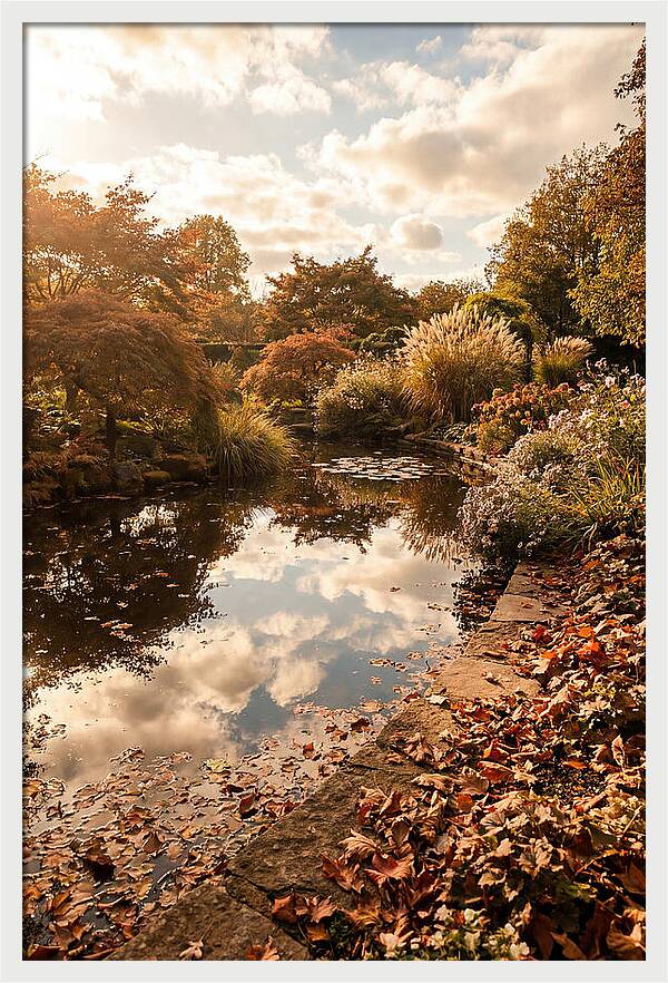 Garden Pond Reflecting Autumn Sky