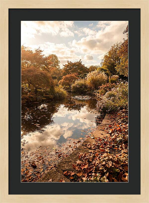 Garden Pond Reflecting Autumn Sky