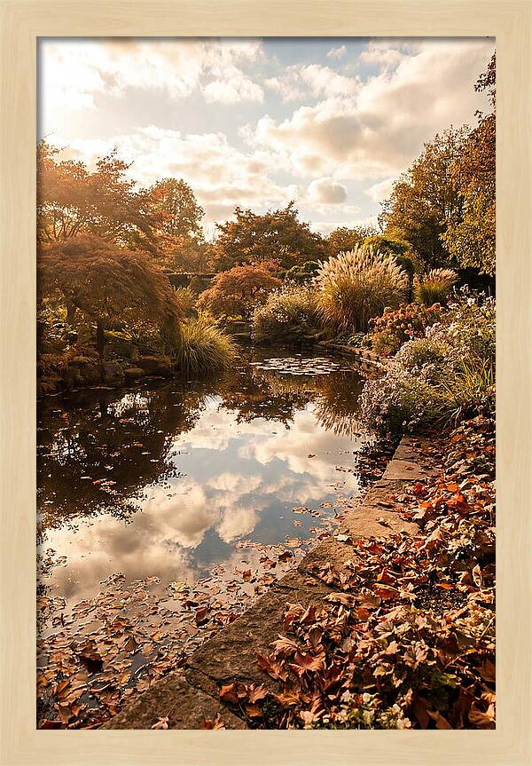 Garden Pond Reflecting Autumn Sky
