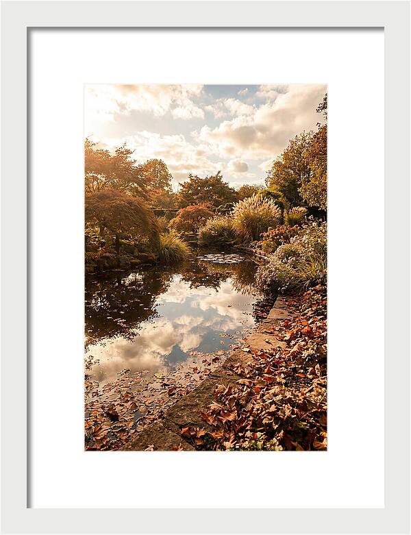 Garden Pond Reflecting Autumn Sky