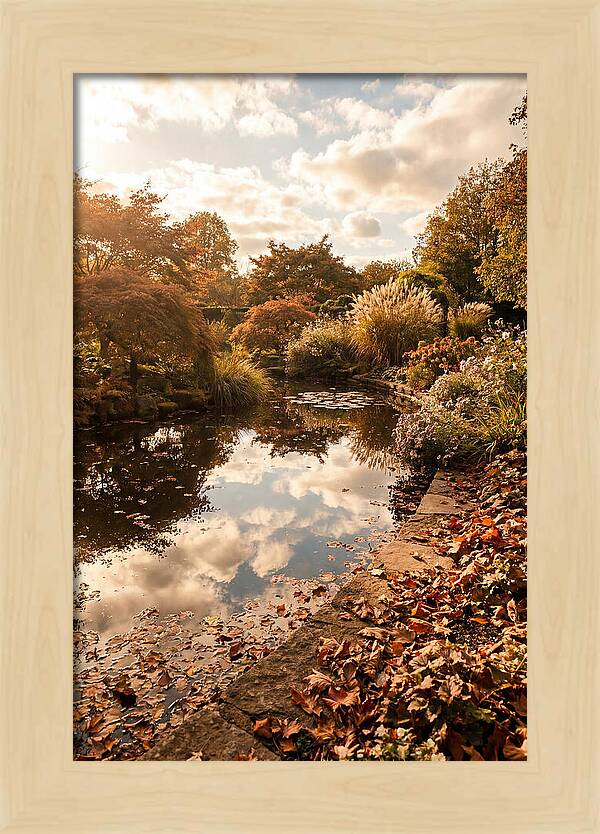Garden Pond Reflecting Autumn Sky