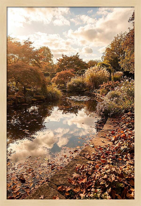 Garden Pond Reflecting Autumn Sky
