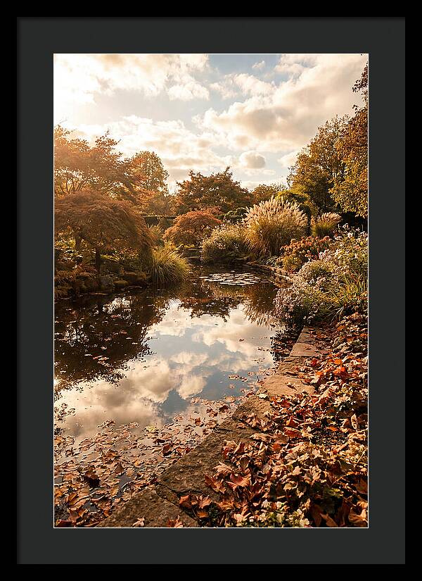 Garden Pond Reflecting Autumn Sky