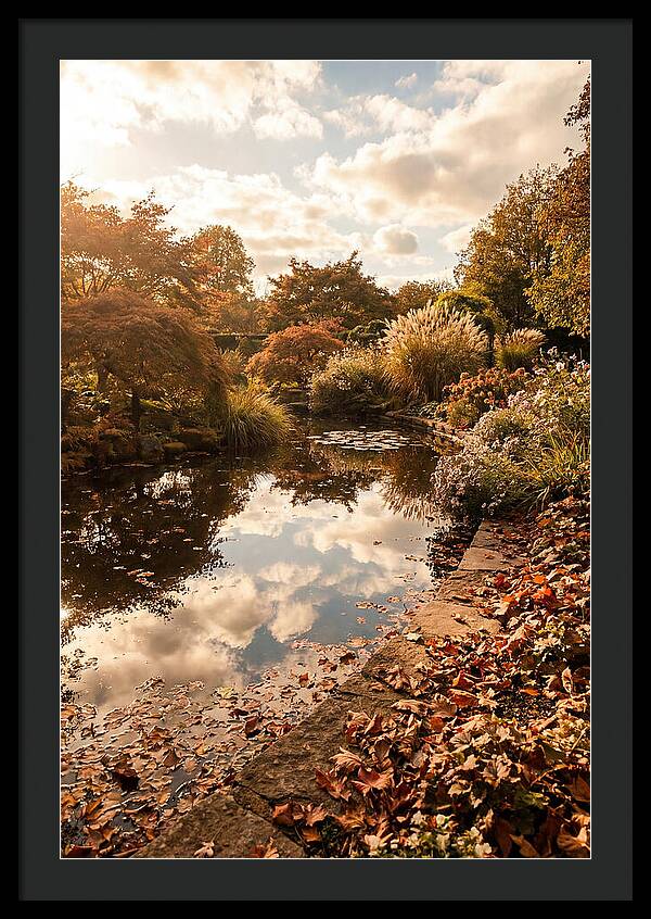 Garden Pond Reflecting Autumn Sky