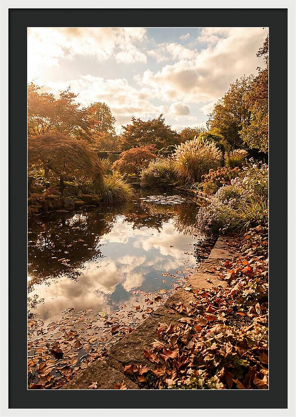 Garden Pond Reflecting Autumn Sky