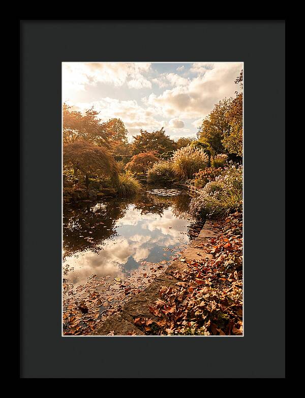 Garden Pond Reflecting Autumn Sky