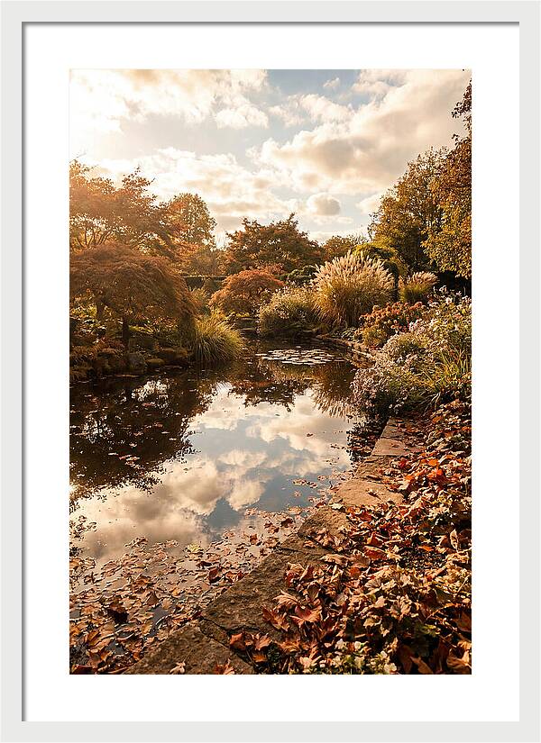 Garden Pond Reflecting Autumn Sky