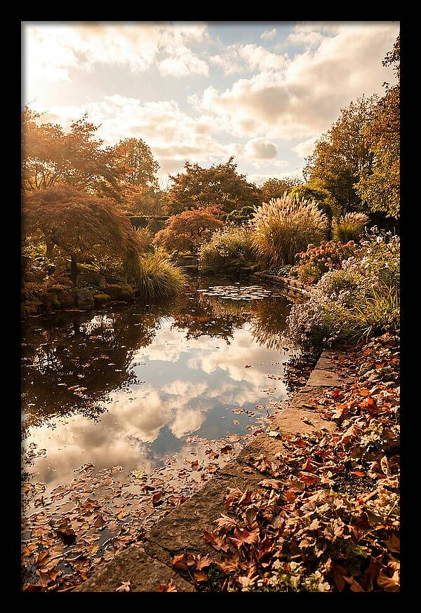 Garden Pond Reflecting Autumn Sky