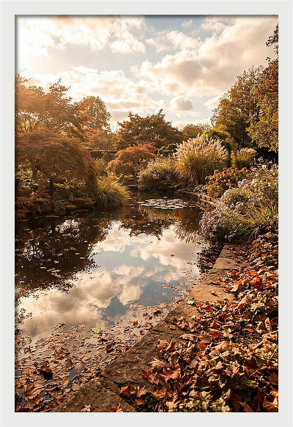 Garden Pond Reflecting Autumn Sky