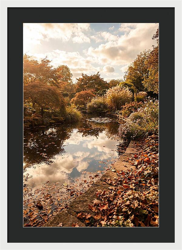 Garden Pond Reflecting Autumn Sky