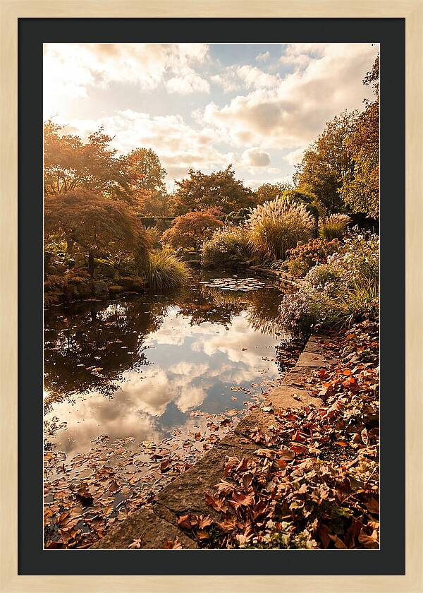Garden Pond Reflecting Autumn Sky