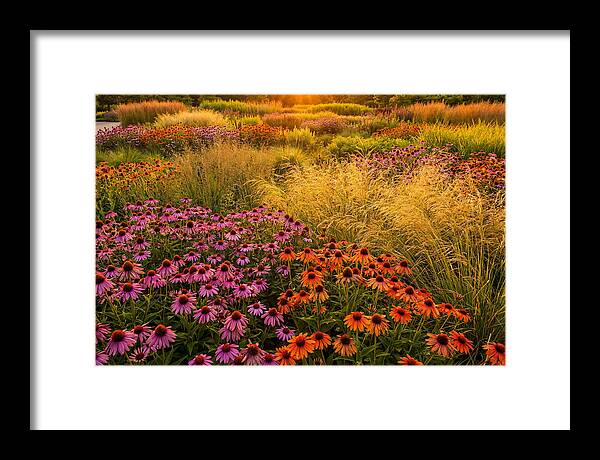 Garden Prairie Serenity