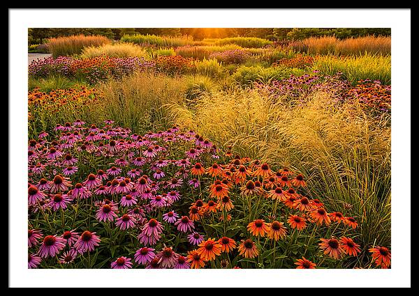 Garden Prairie Serenity