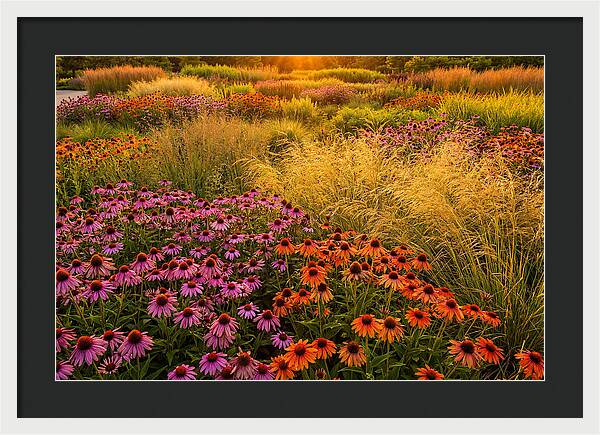Garden Prairie Serenity