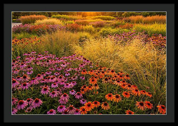Garden Prairie Serenity