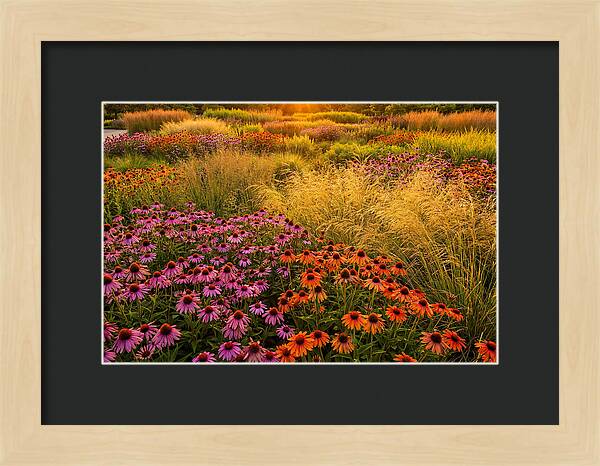 Garden Prairie Serenity