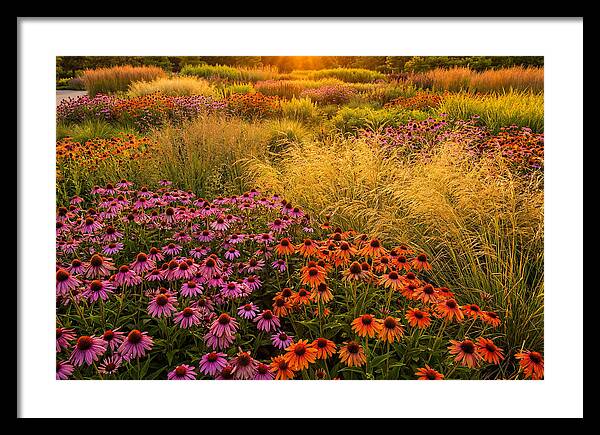 Garden Prairie Serenity