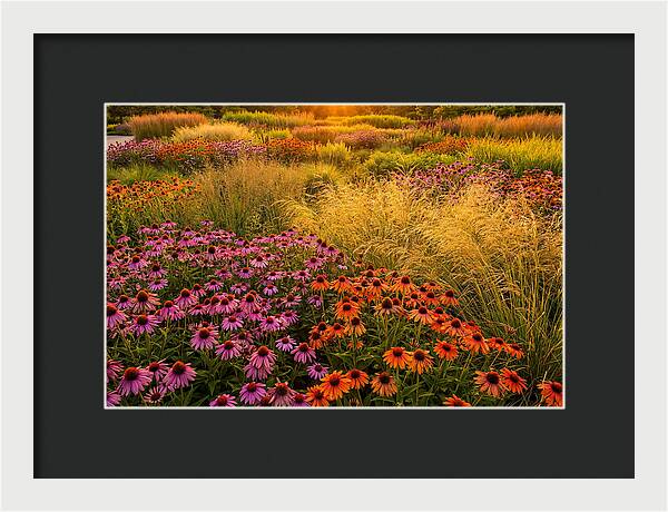 Garden Prairie Serenity