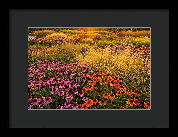 Garden Prairie Serenity