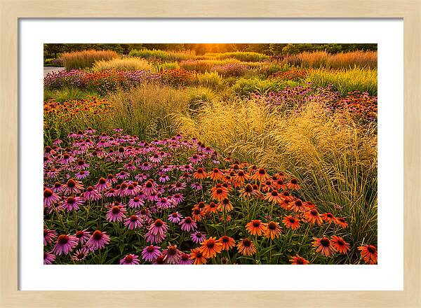 Garden Prairie Serenity