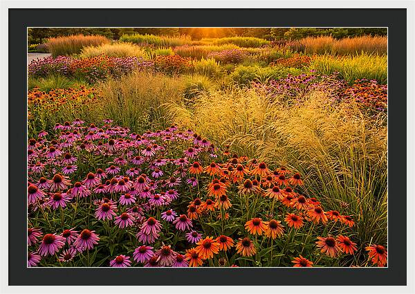 Garden Prairie Serenity