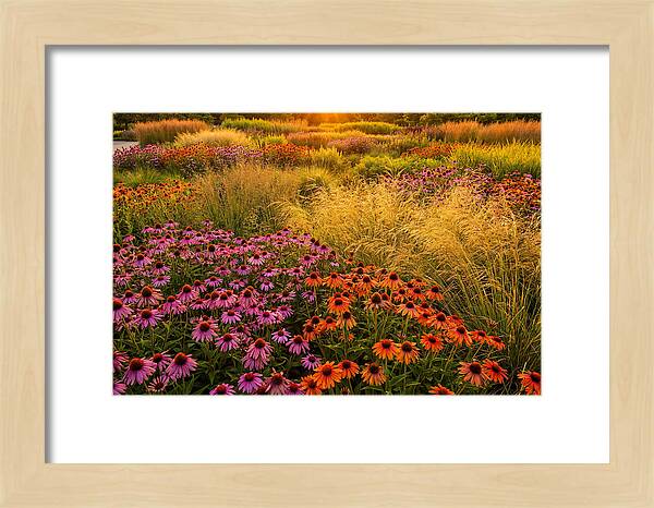Garden Prairie Serenity