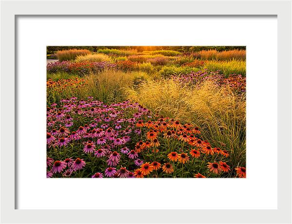 Garden Prairie Serenity