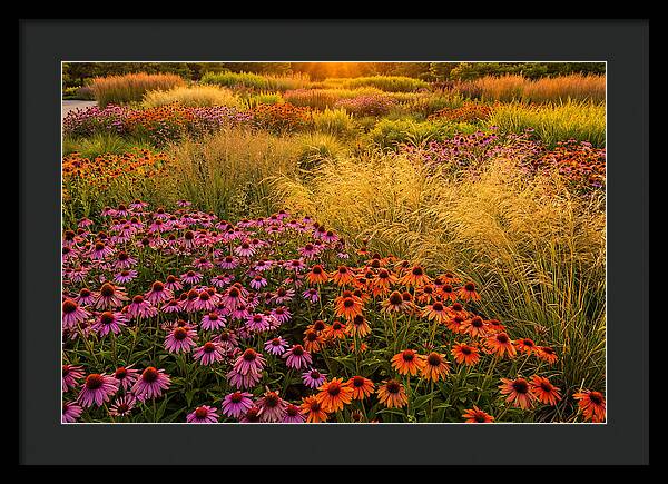 Garden Prairie Serenity