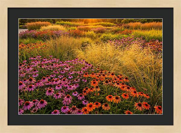 Garden Prairie Serenity