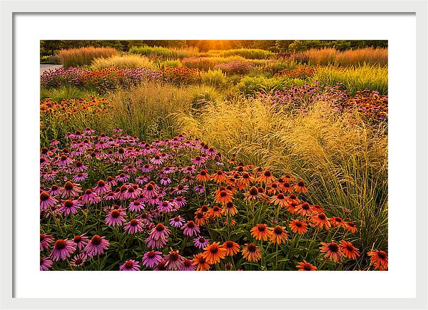 Garden Prairie Serenity